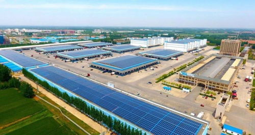 東平大爆發(fā) 物流產(chǎn)業(yè)園引領(lǐng)轉(zhuǎn)型，五年打造國內(nèi)重要物流樞紐城市